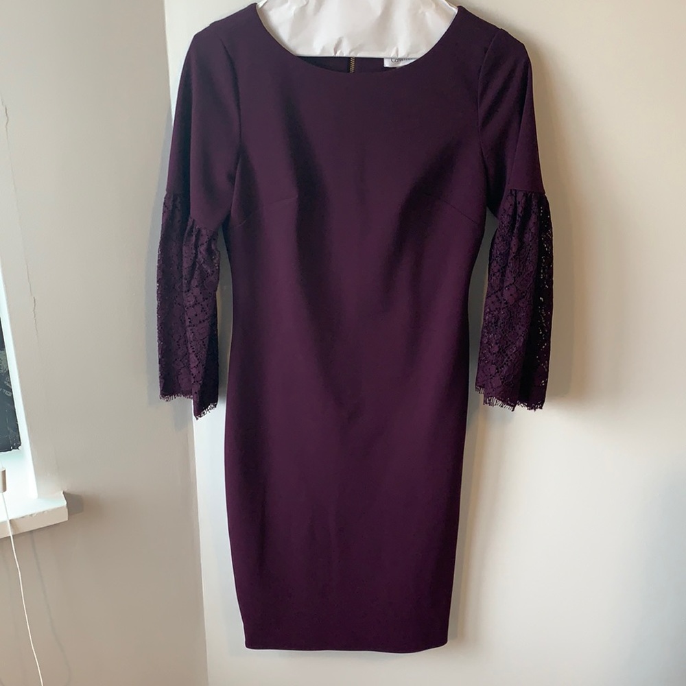Plum Calvin Klein dress with 3/4 lace bell-shaped sleeves